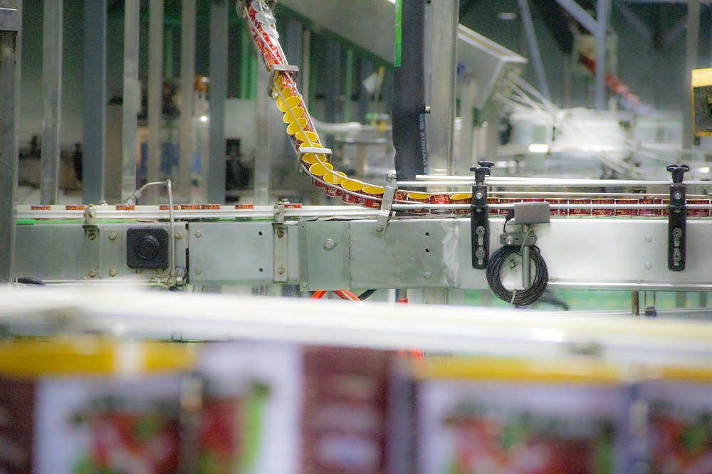 1742880852306042.jpg 33.jpg